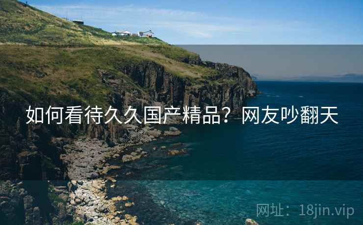 如何看待久久国产精品？网友吵翻天