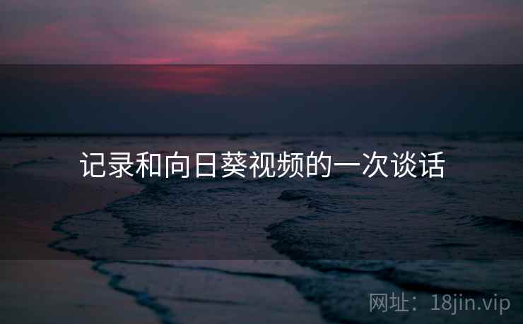 记录和向日葵视频的一次谈话