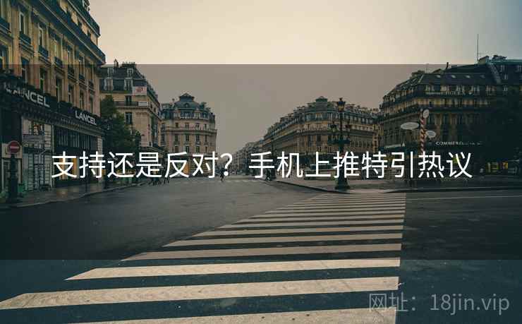 支持还是反对？手机上推特引热议
